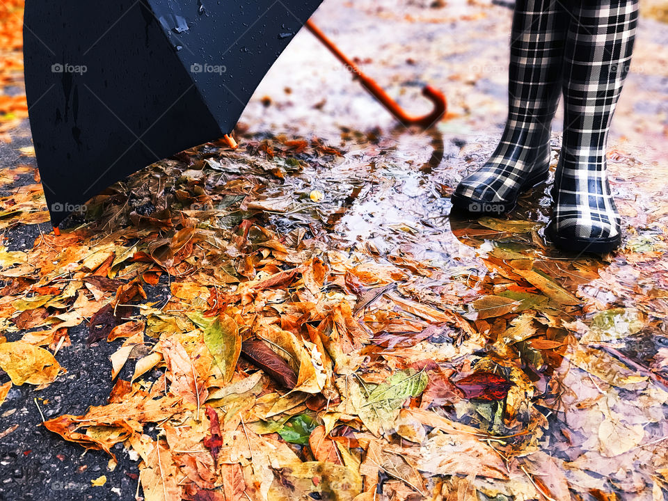 Rubber boots and umbrella on fallen wet autumn leaves 