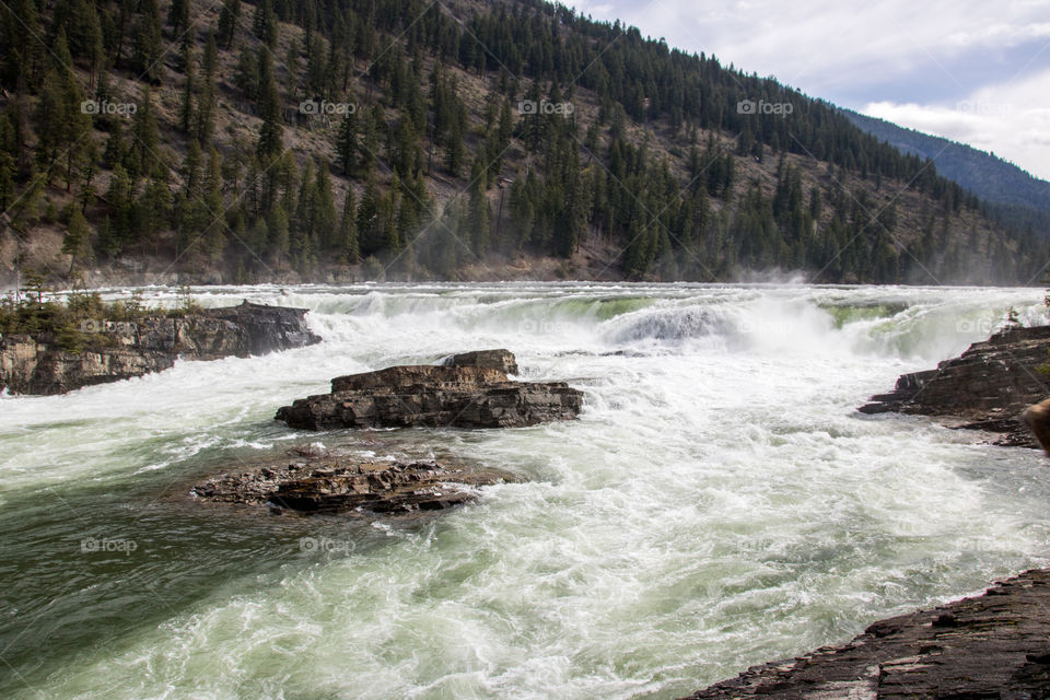 Roaring river in the Montana wilderness. 