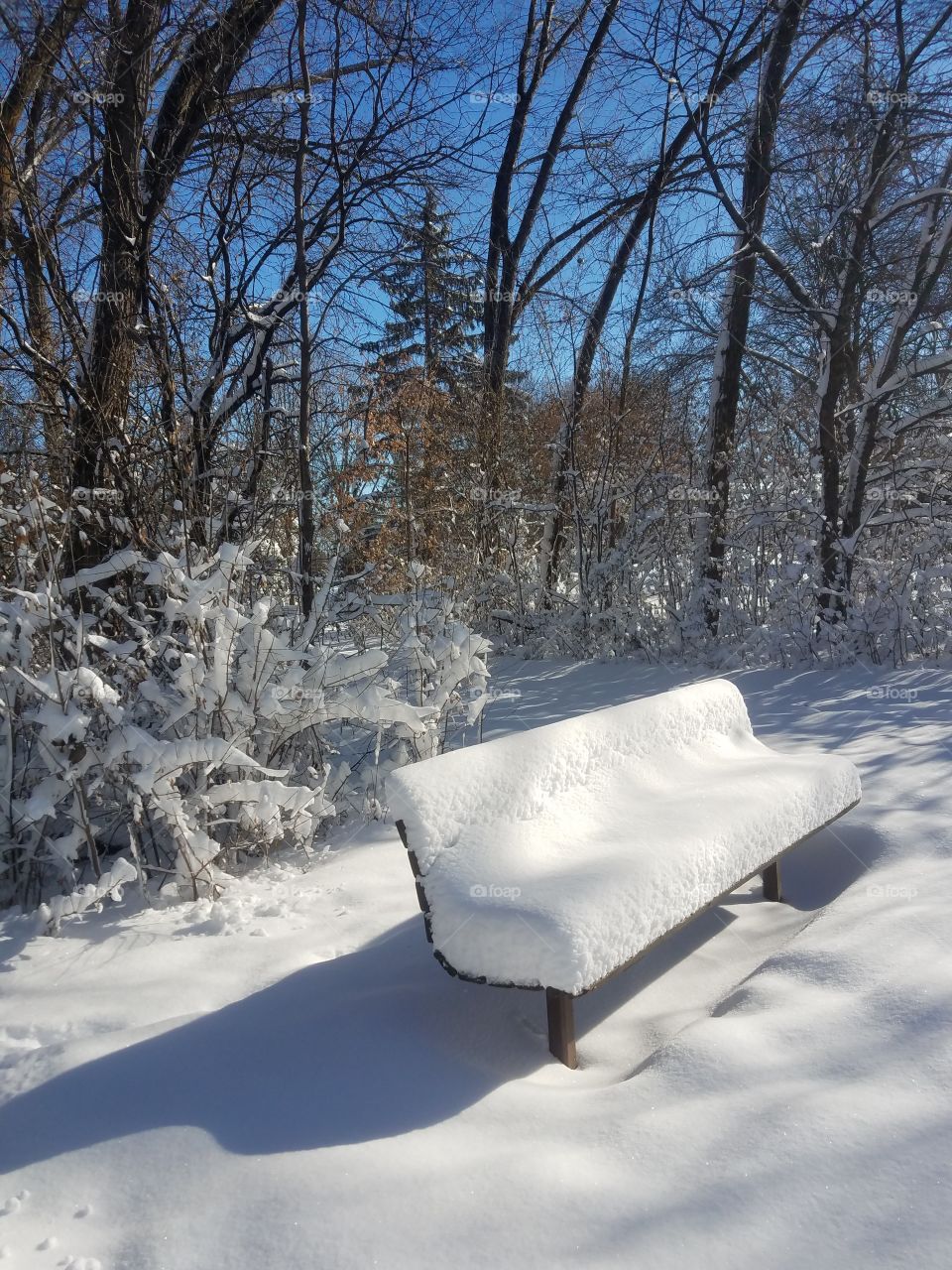 bench in the snow