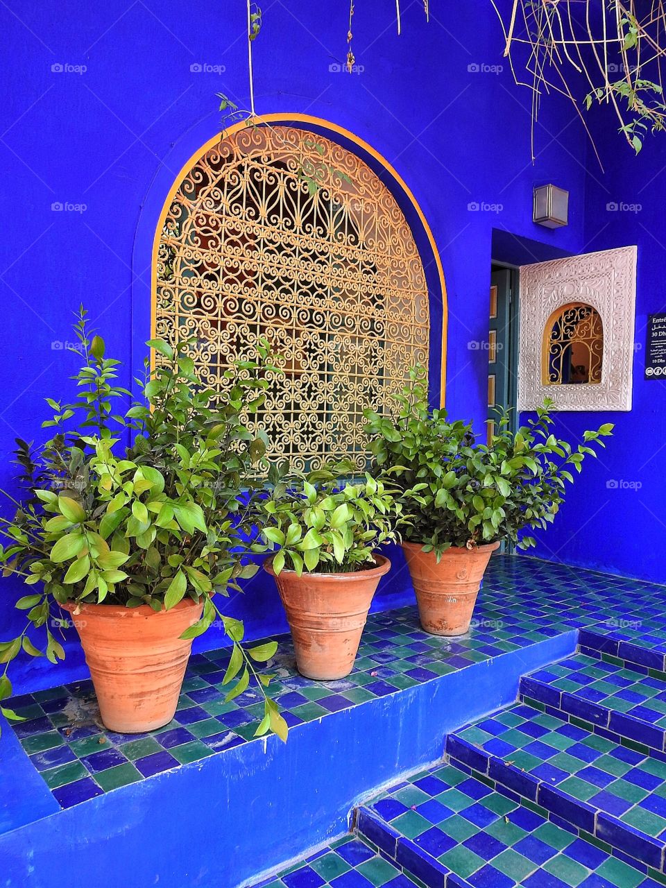 Pots surrounded by blue