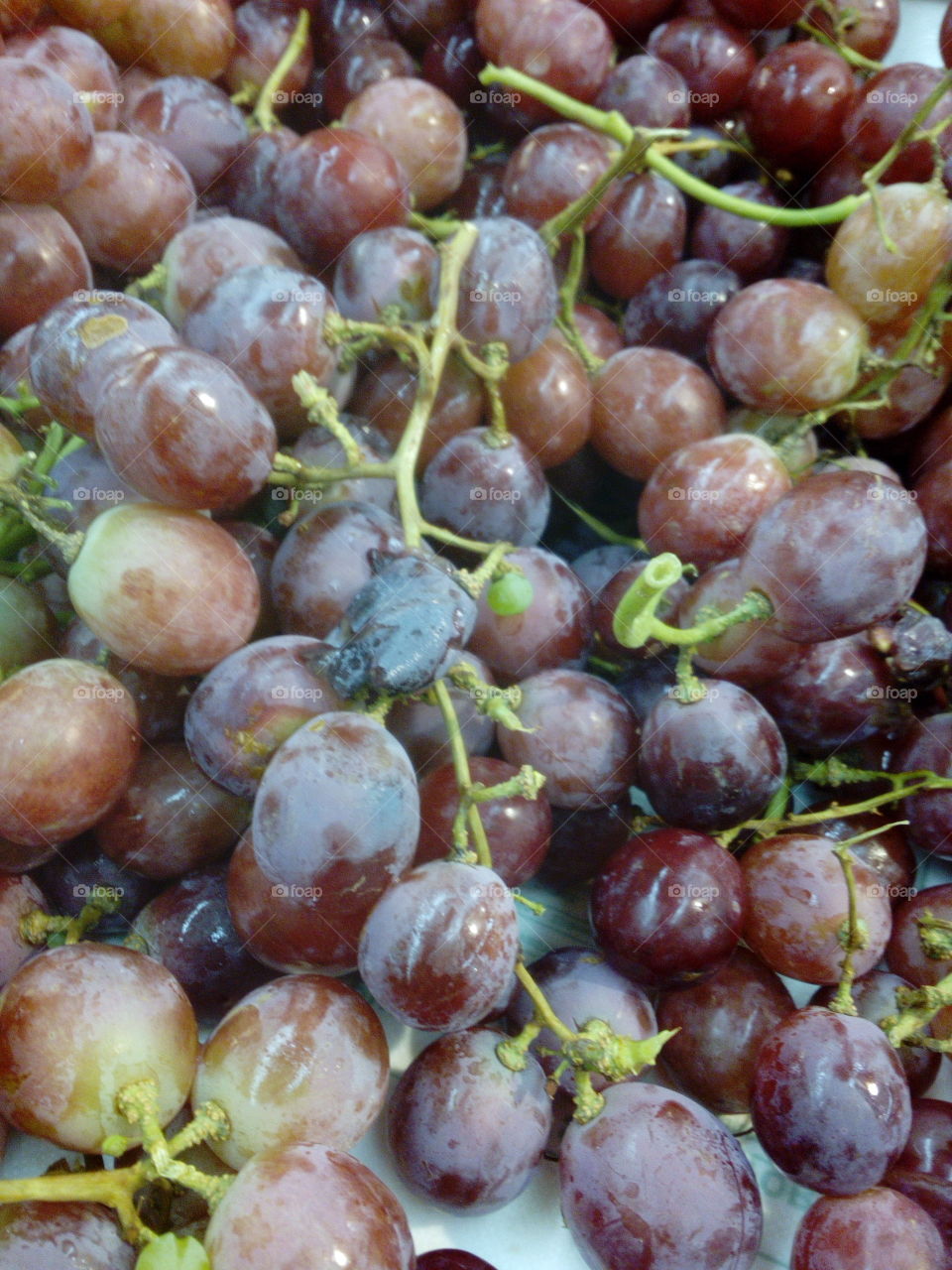 Grapes