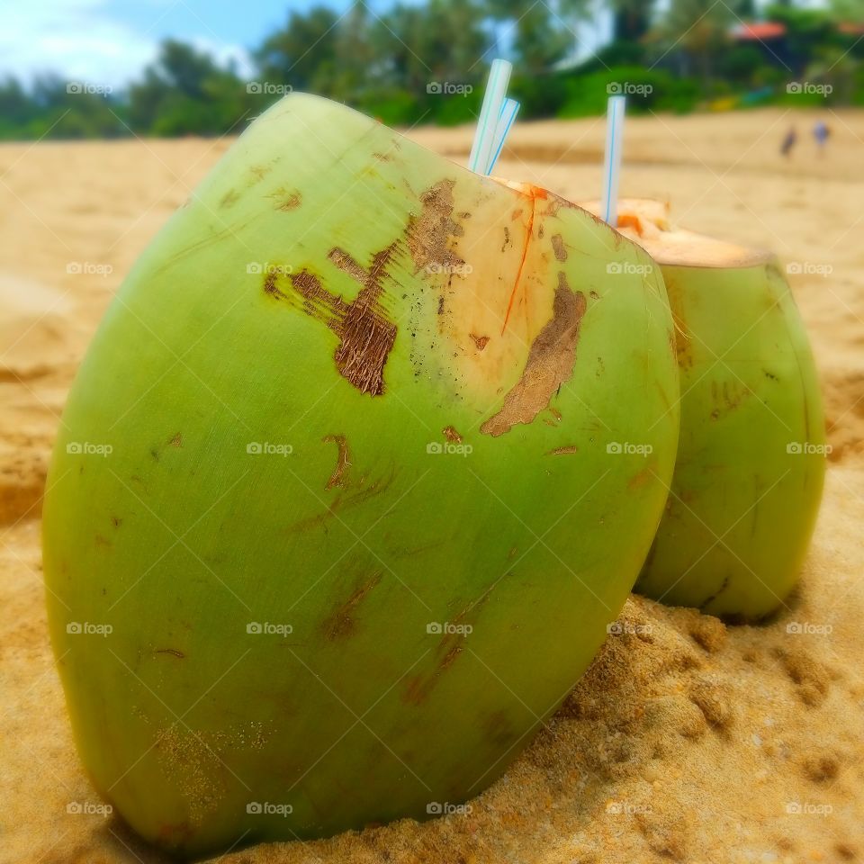 coconuts on the beach on a sunny fay