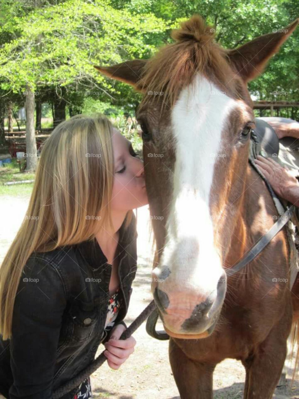 Girl kisses horse