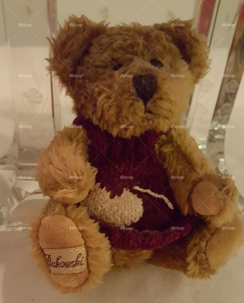 Bukowskis teddy bear