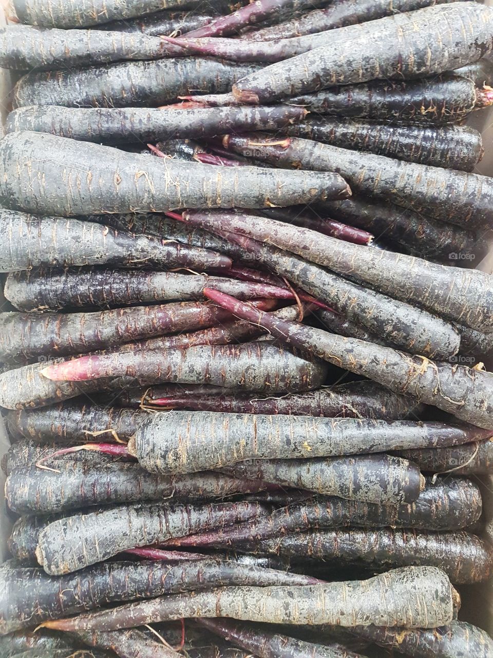 purple carrot variety at market stall fresh fruit and vegetables