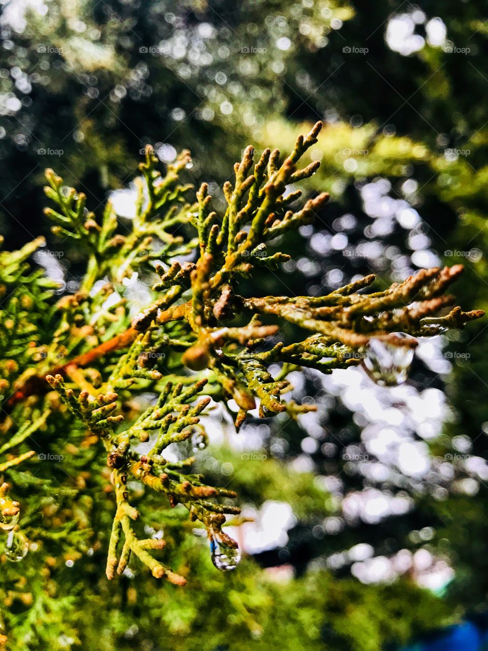 winter is coming!!!❄️❄️❄️