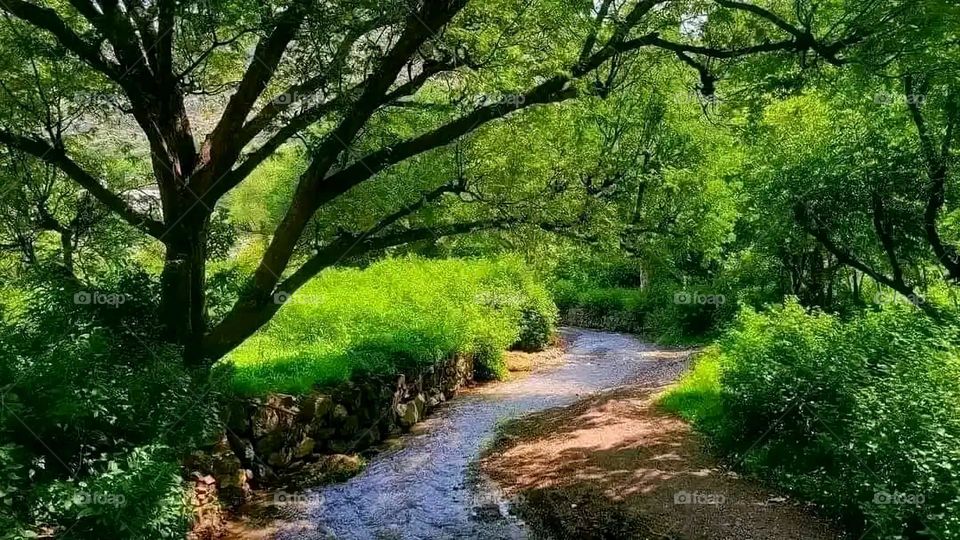 Glory be to God, the magnificent and picturesque view and the natural green trees are a view that is nothing more wonderful than it