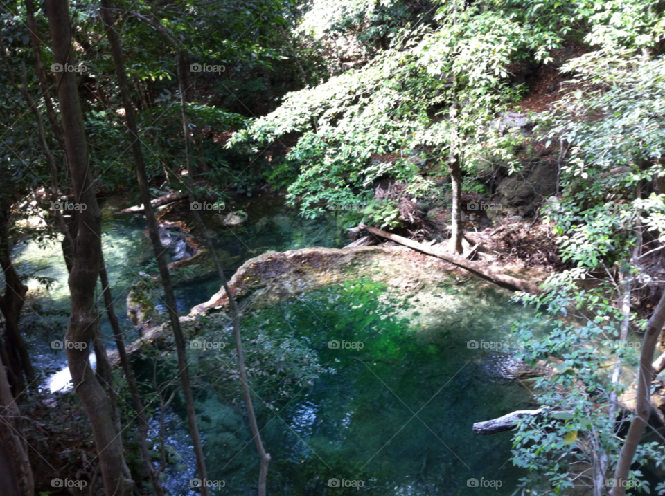 pond jungle waterfall pool by samyen