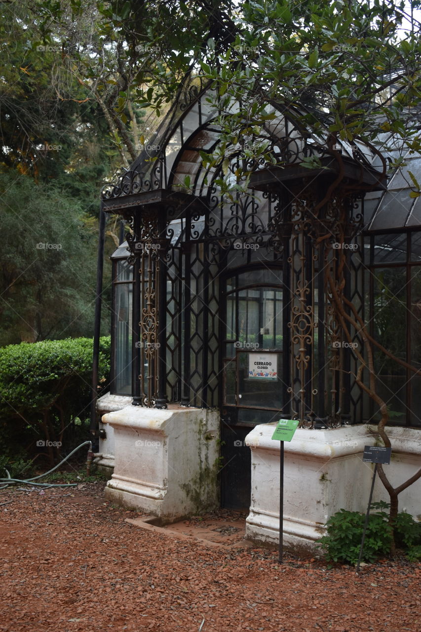 Jardín Botánico . Buenos Aires , Argentina .Foto tomada con Nikon D3500