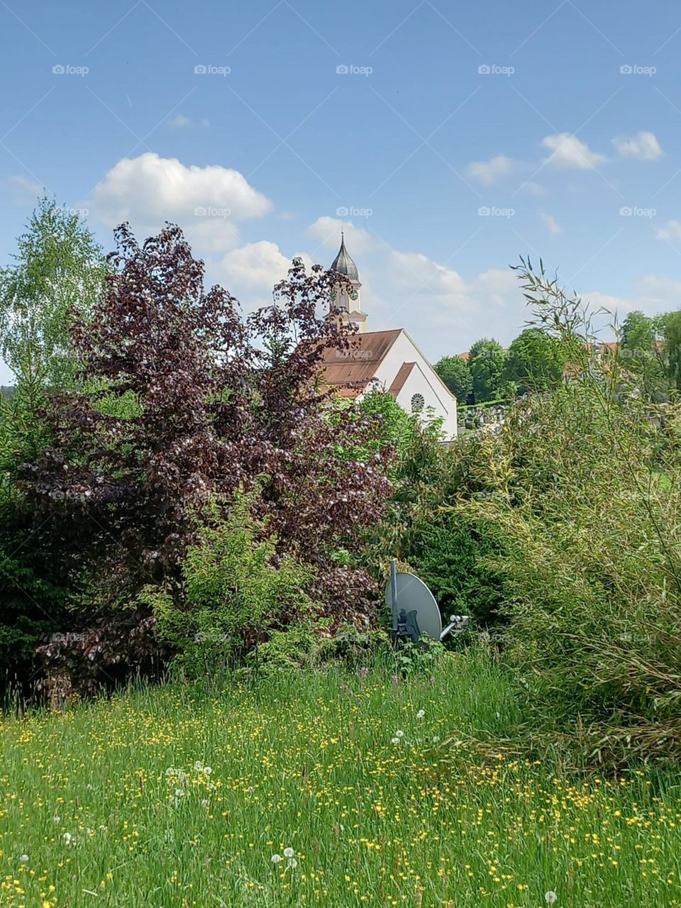 Dandelions Behind Old Bavarian Church