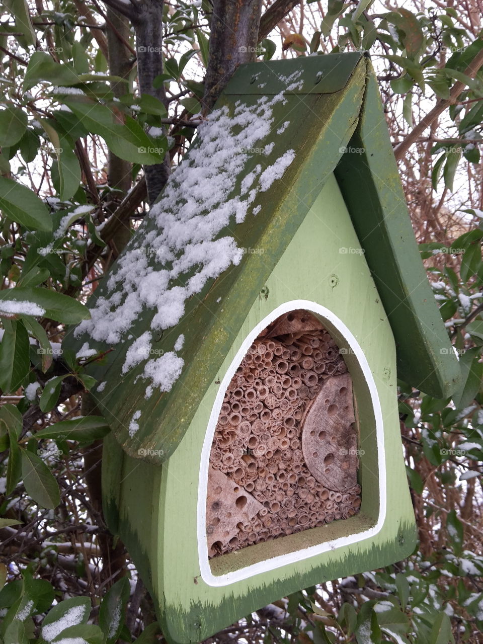 insect hotel with snow on the roof