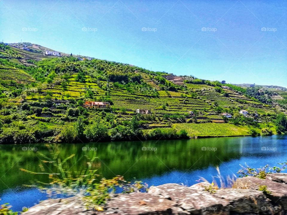 Douro river, Douro Vineyards, Portugal