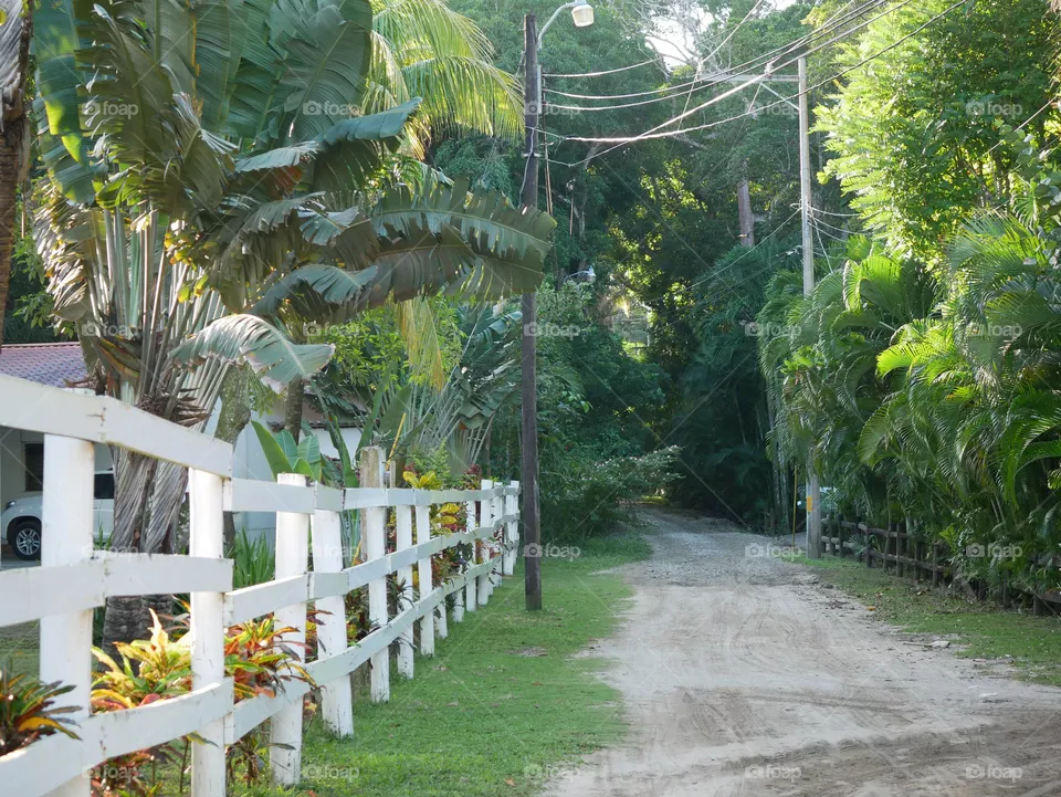 White fence