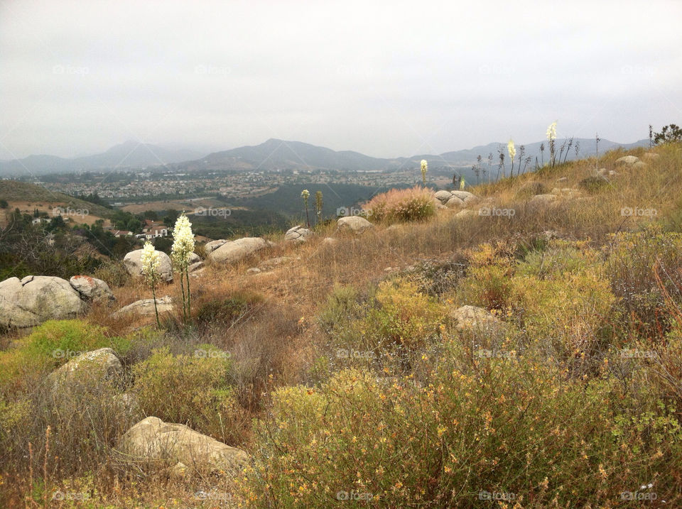 flowers rocks mountains california by kenglund