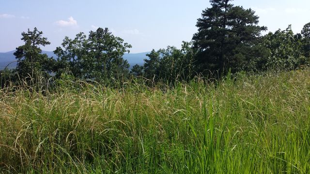 Arkansas. Arkansas