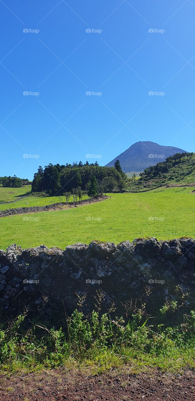 Ilha do Pico Açores