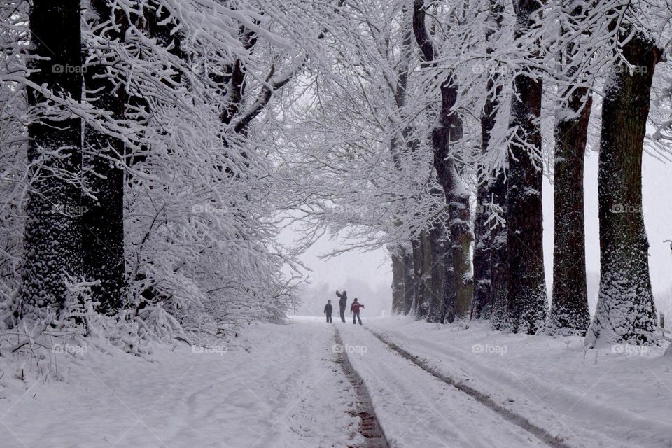 People playing in the snow. 