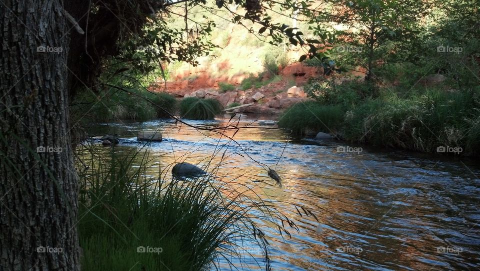 River in Sedona, AZ