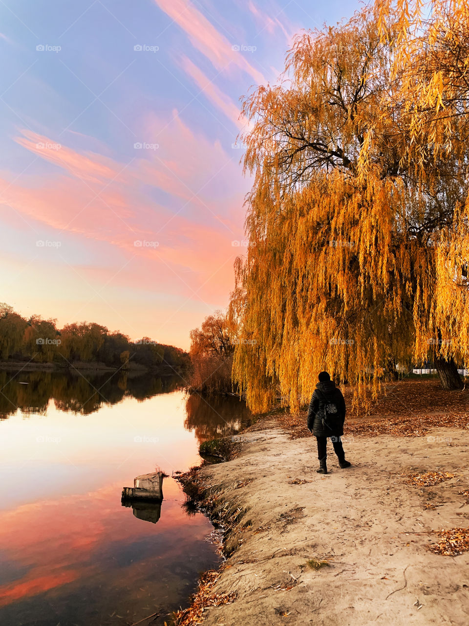 Figure of a woman with a backpack standing in front of a tree with golden leaves at the lake 