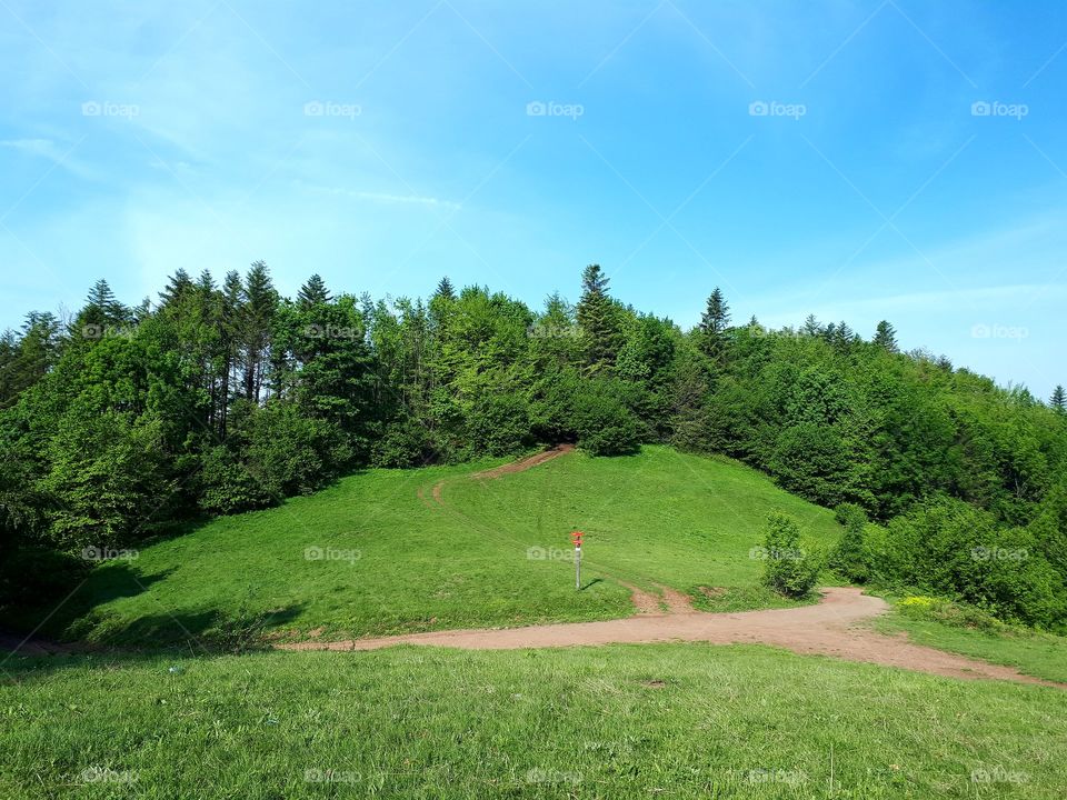 A guidepost and crossroafs on the hill, in a clean area surrounded by forests