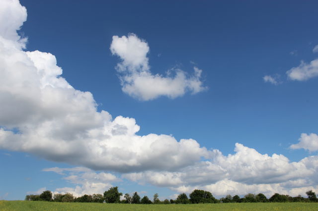 the sky