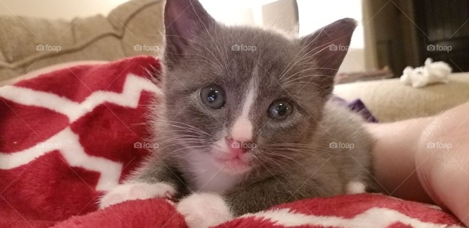 I am pretty as a picture right mama???