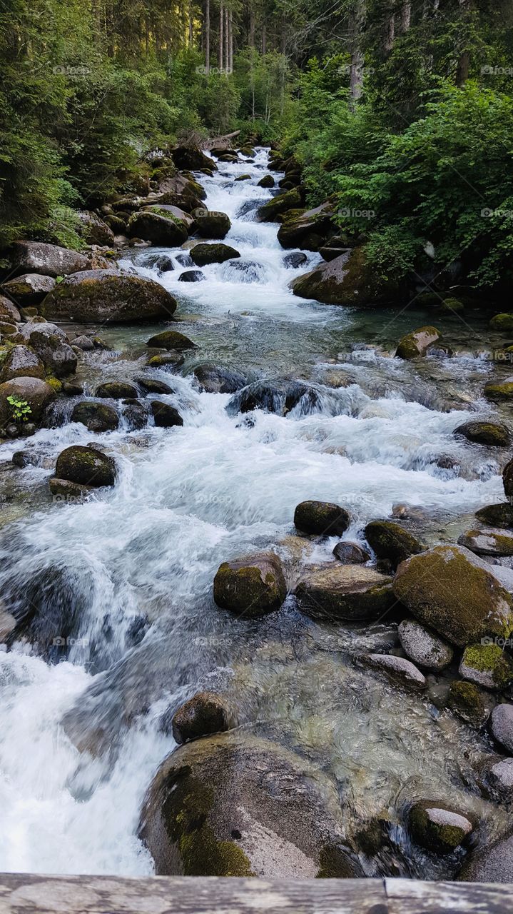 Wild river in the wild italian mountains, Dimaro