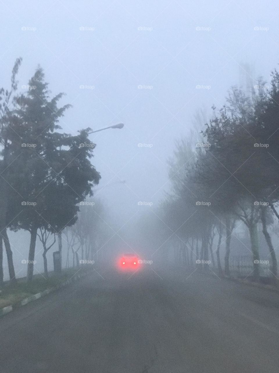 A foggy day and a horror road