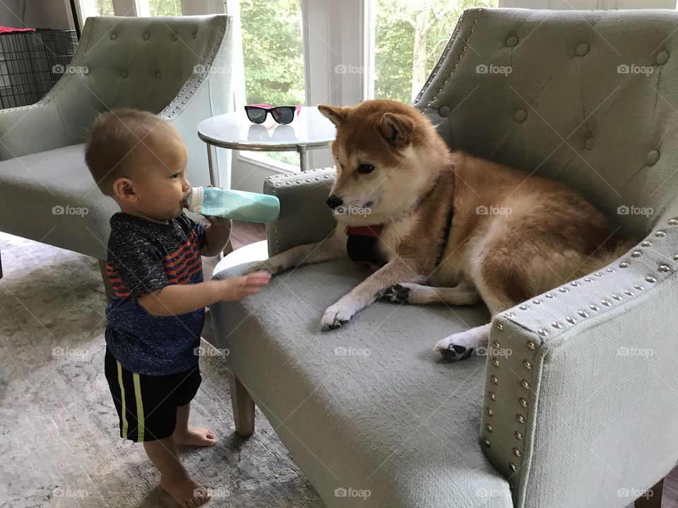 Baby and doggy