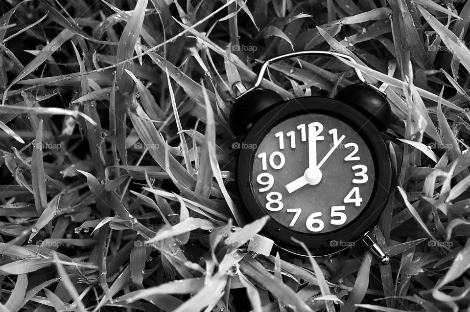 Alarm clock isolated on grass background 