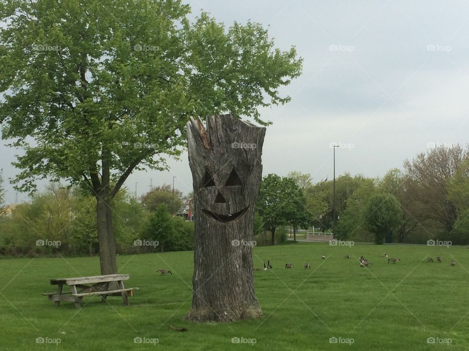 Smiling tree