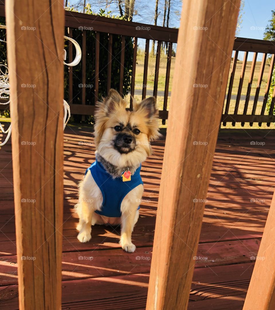 Here’s looking at you!