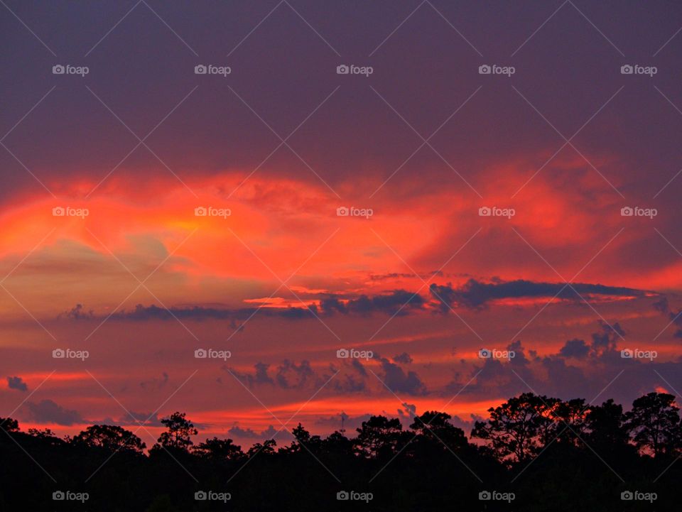 Magic of the Sunset - The radiance of the beautIful red colored sky from the descending sunset was glorious to behold and increasing every moment in splendor. Pine tree silhouettes stand tall