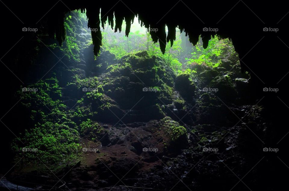 View of cave