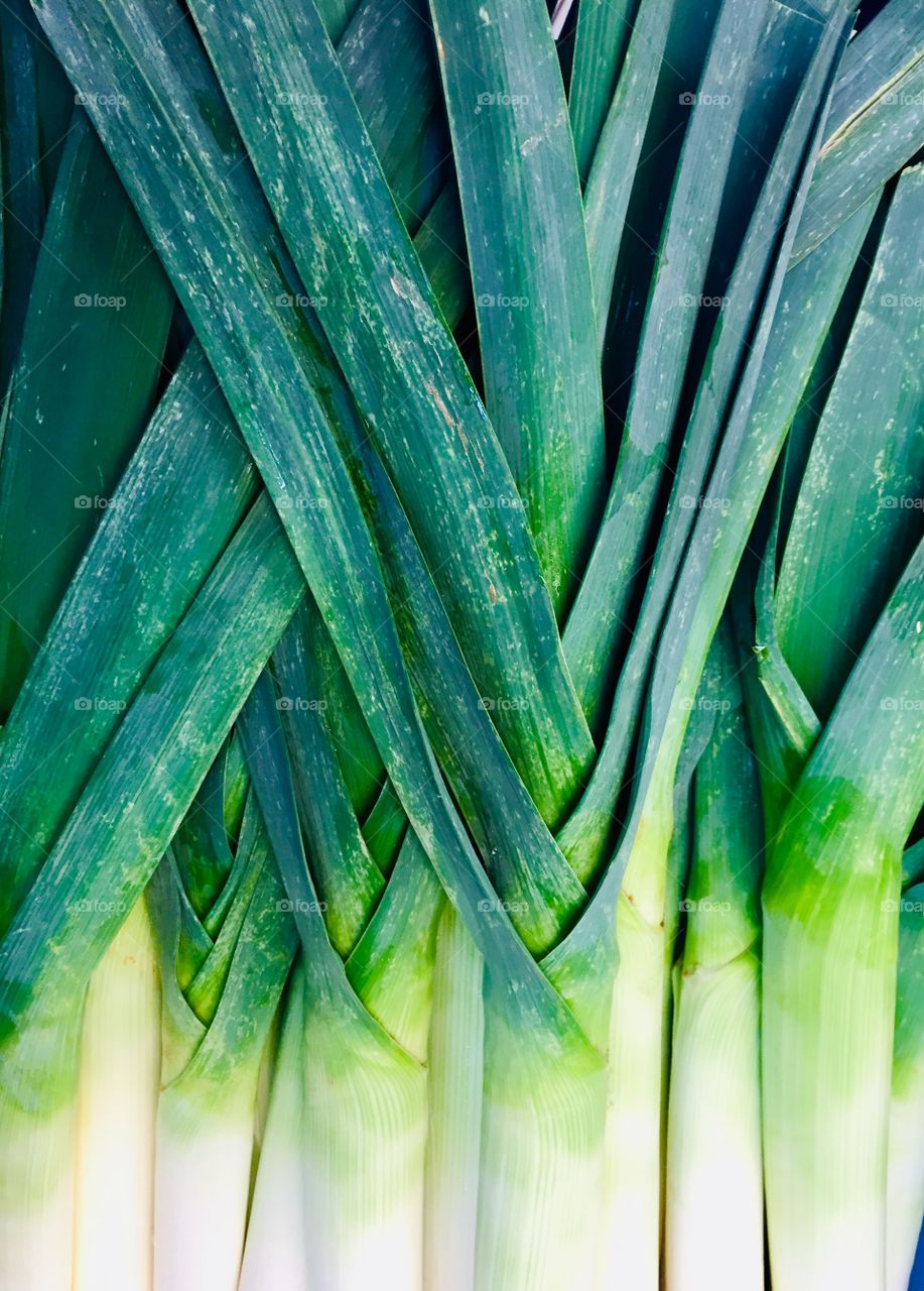 Leek