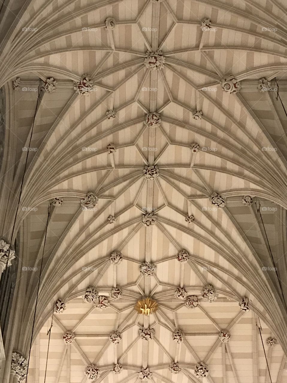 St Patrick’s Cathedral Ceiling Texture 