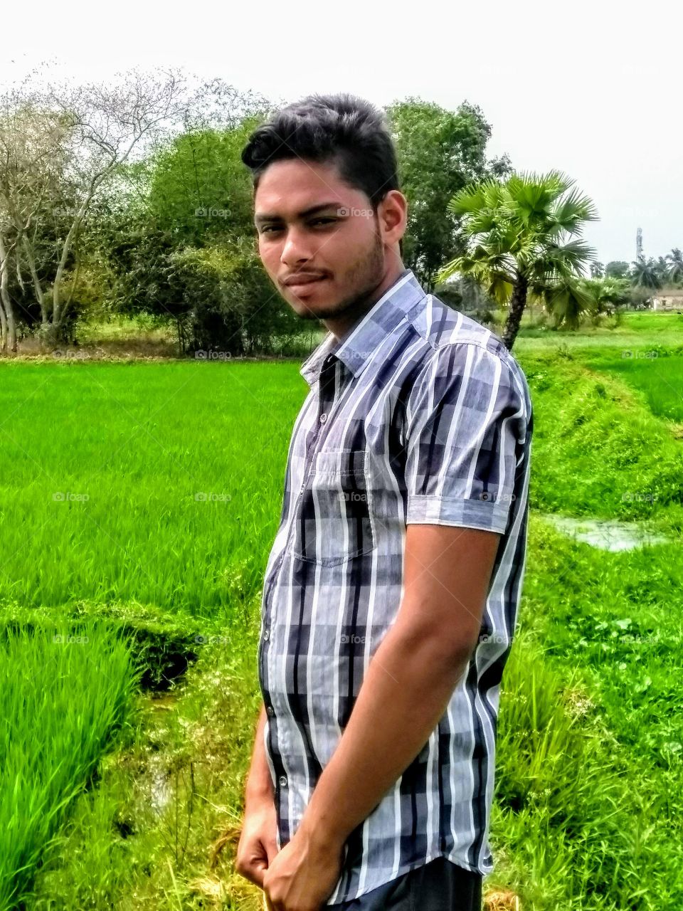 village green landscape..