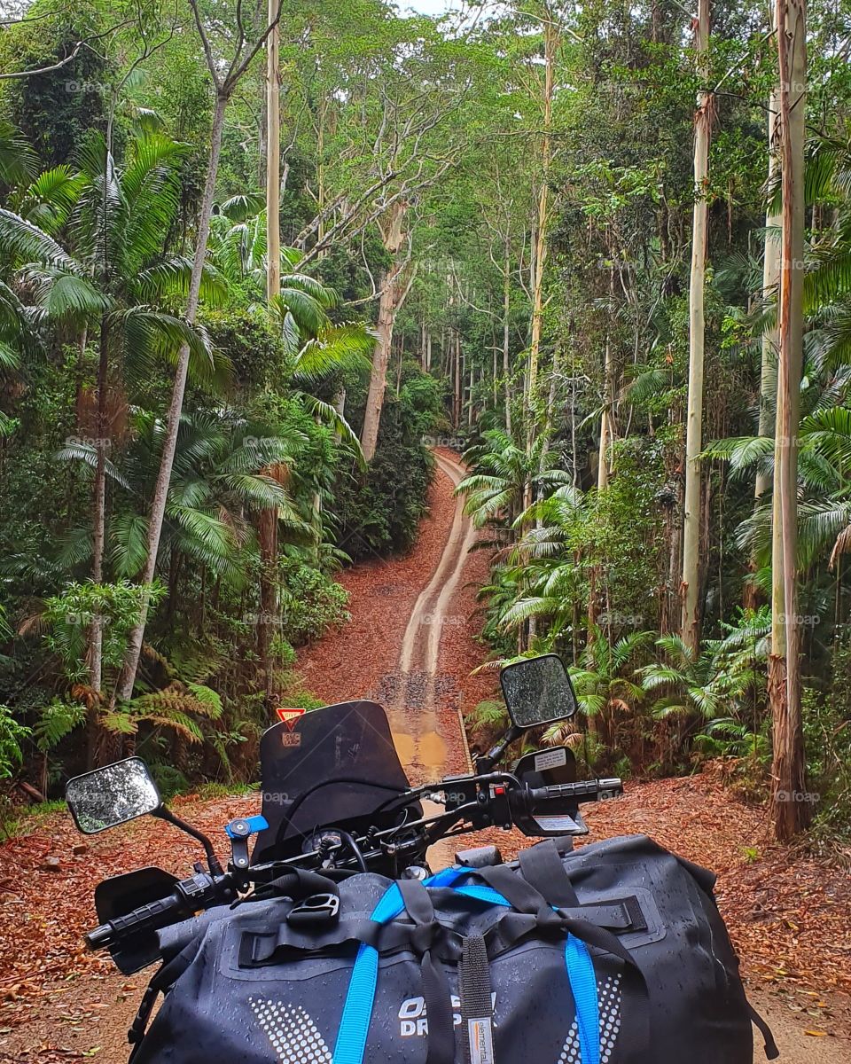 National park in Queensland