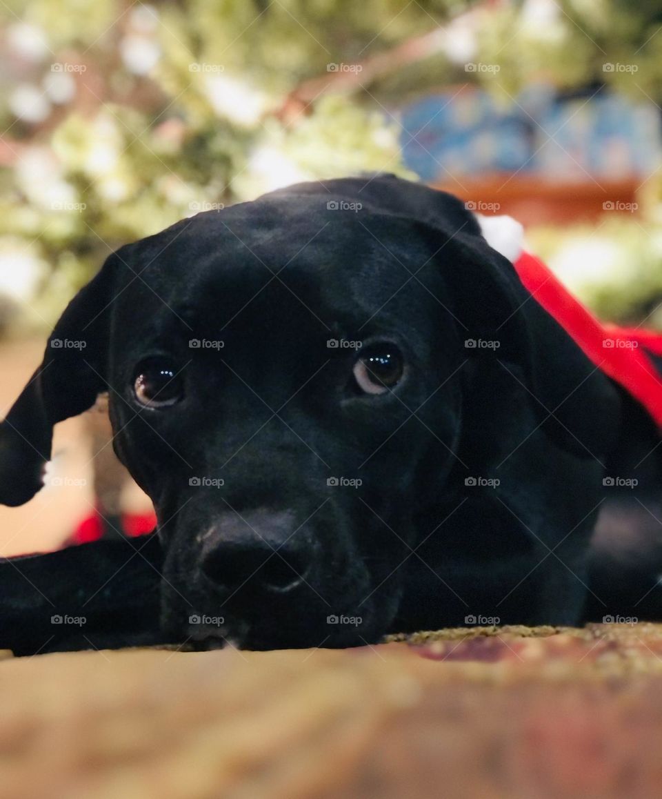 Waiting on Santa 🎅