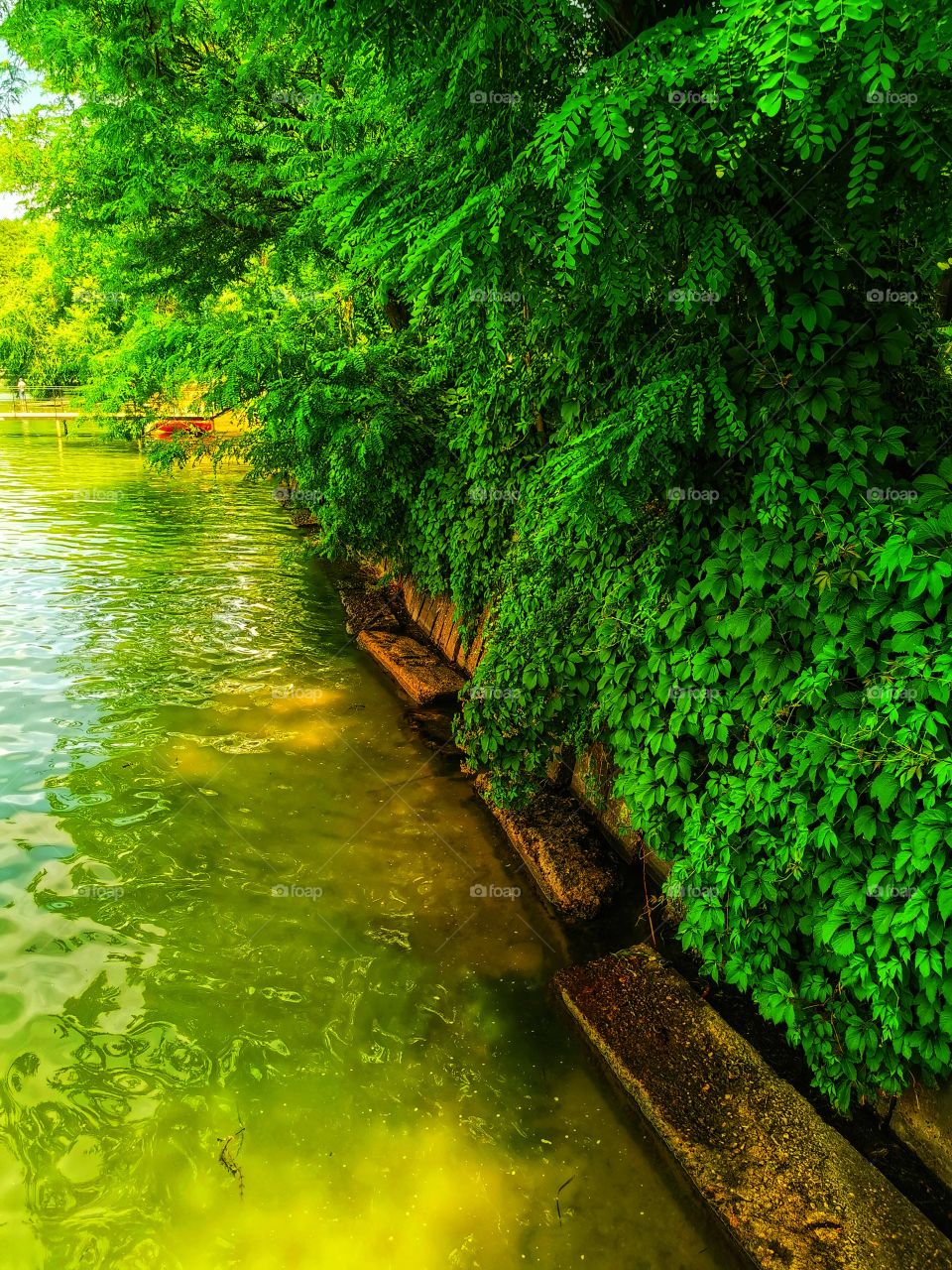 Memory summer time City town street outdoor plant green road trip way travel Light reys view nature outside trip way river water waterful Flow glass view wild nature green plant bush