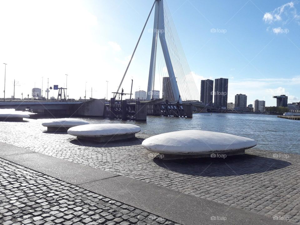 Erasmus brug Rotterdam