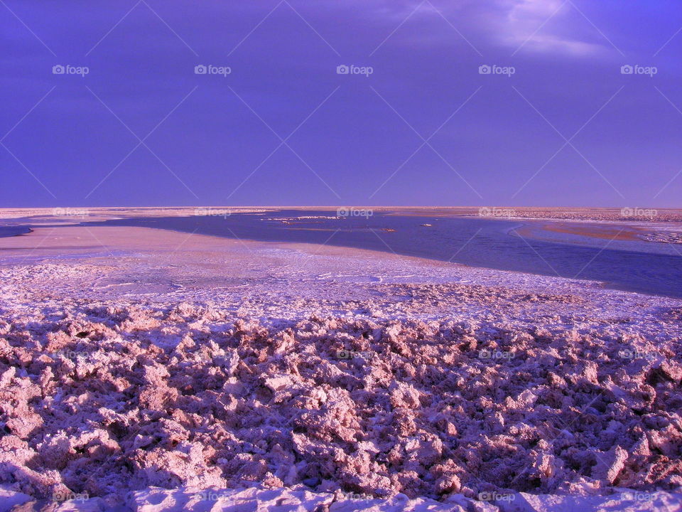 desert in the purple atmosphere