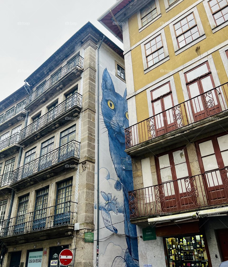 Building in Porto 