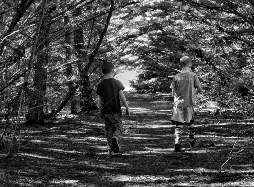 Young Brothers Walking On A Forest Path