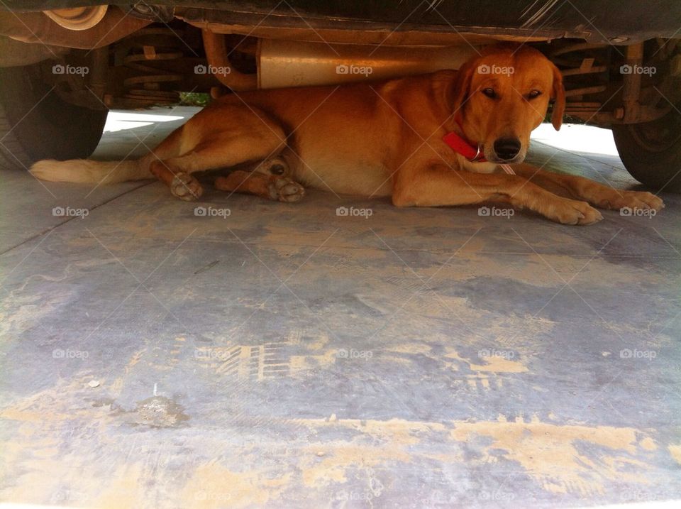 Under the Car