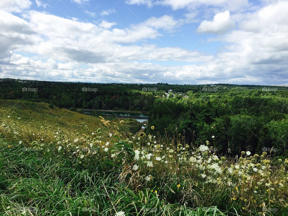 Summer view from the hilltop