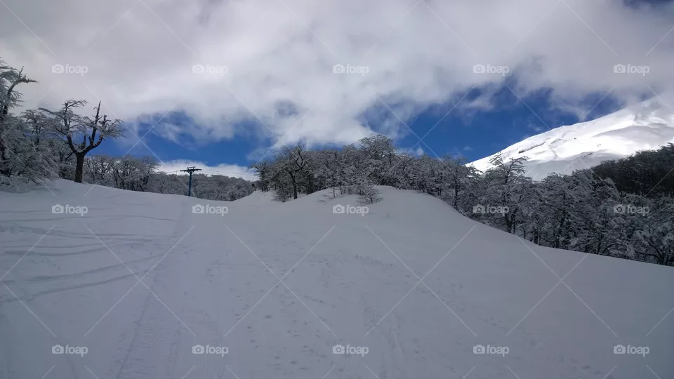 Neve