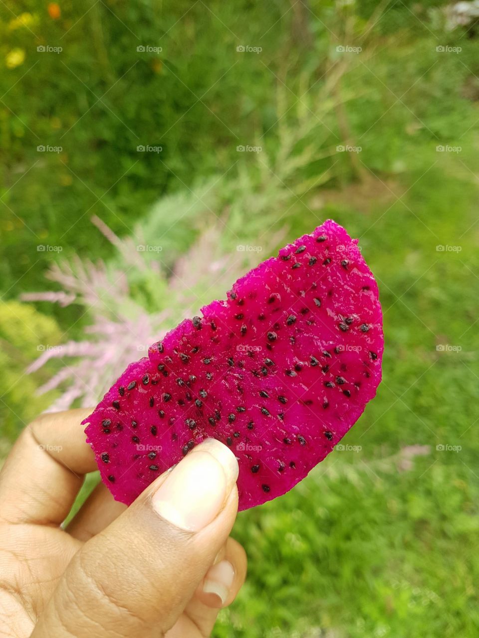 Yummy dragon fruit