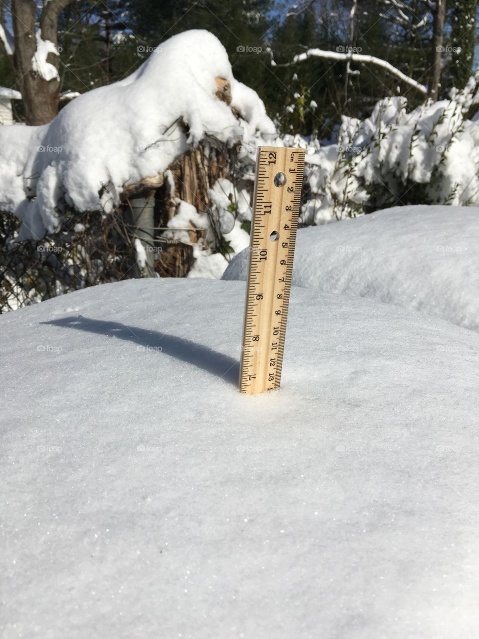 Measure it up! Snow amounts 
