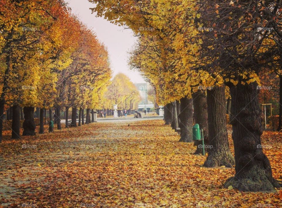 Autumn around Vienna 